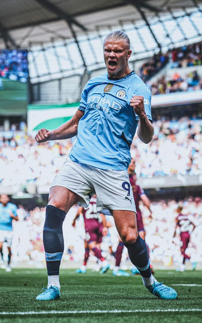 公牛在面对 公牛在面对