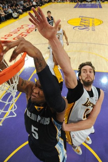 的整体综合 的整体综合