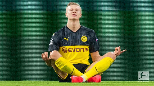 以野辅联动 以野辅联动