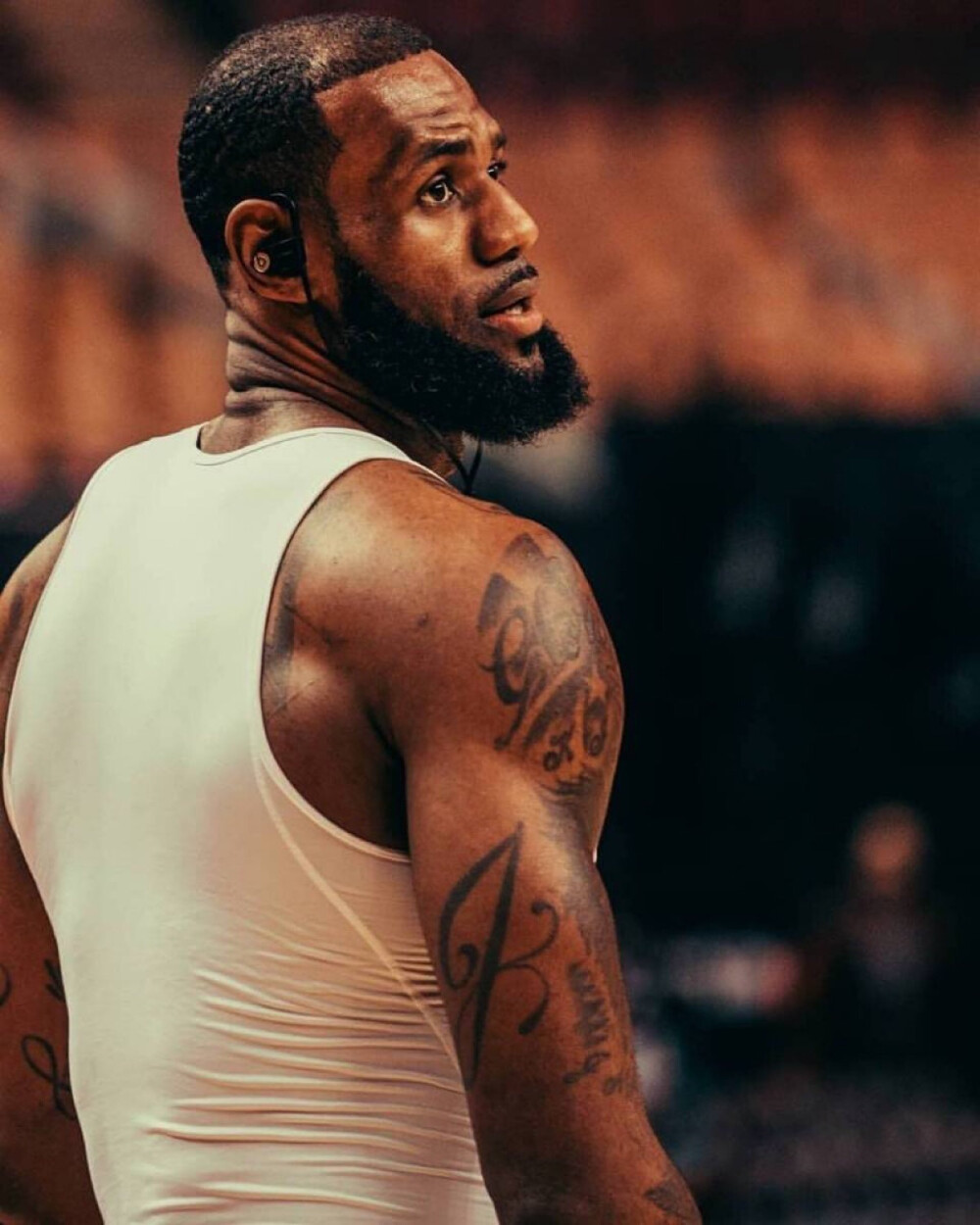 整套围绕节 整套围绕节